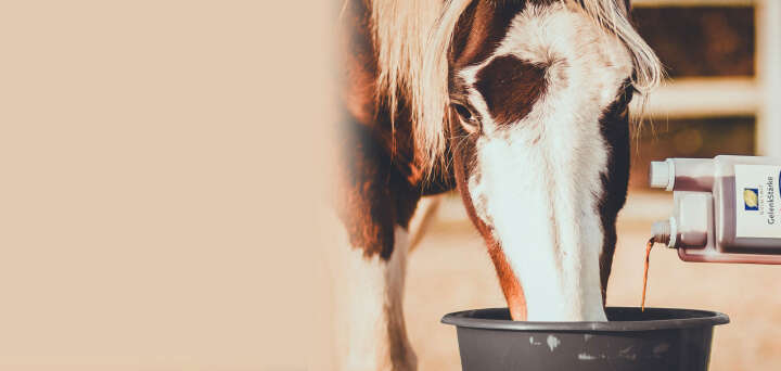 natures best saefte img banner